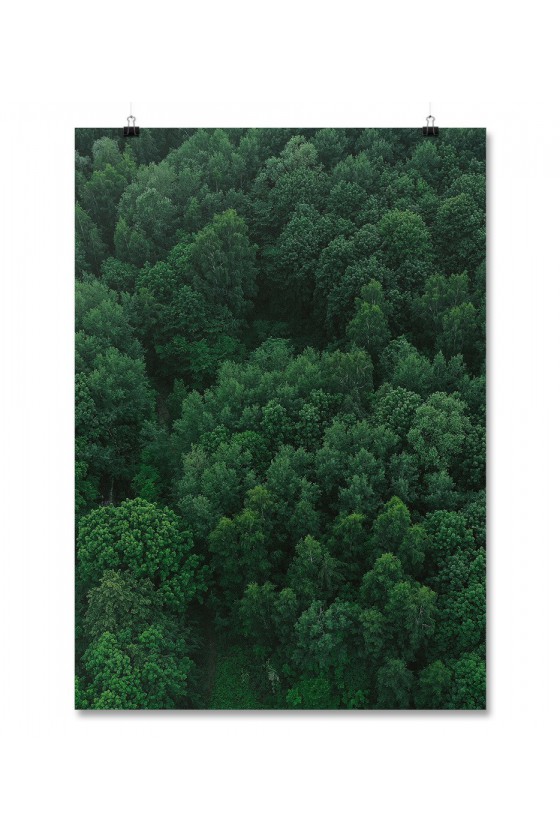 Plakat Forest