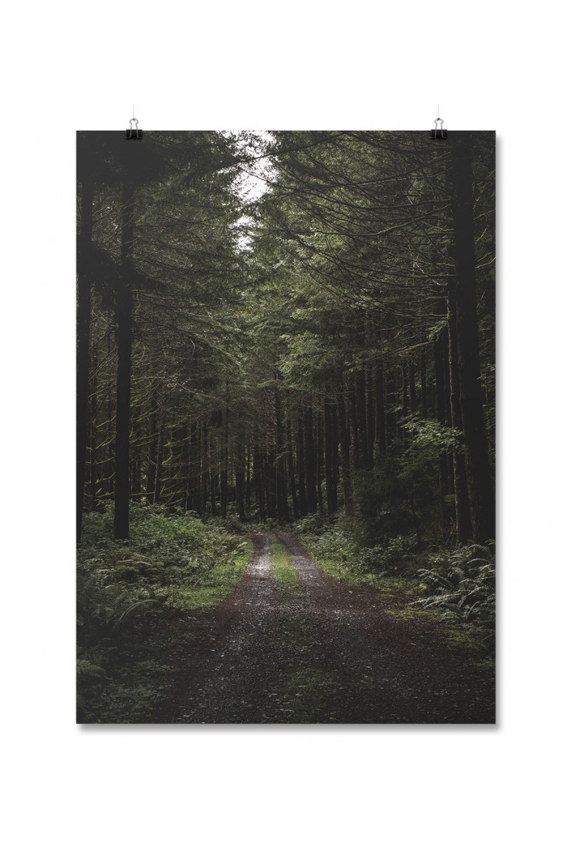 Plakat Forest Road