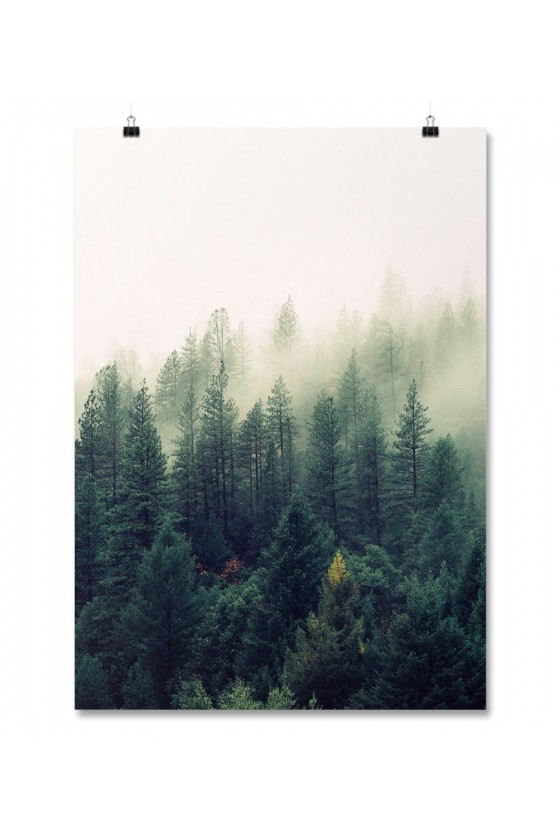 Plakat Fog Forest