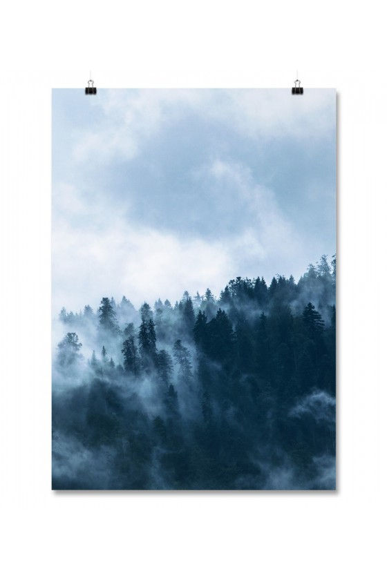 Plakat Fog Forest II