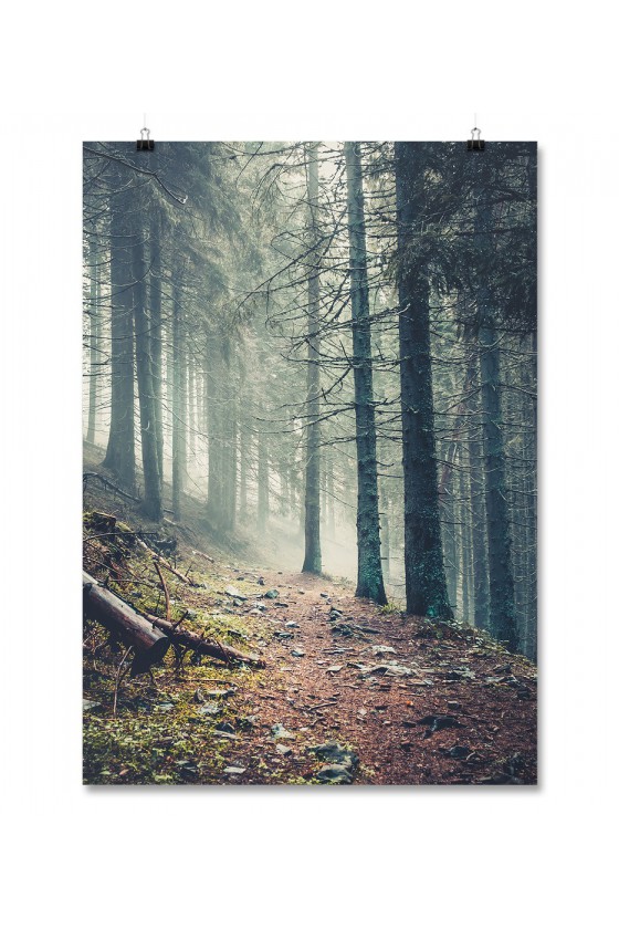 Plakat Forest Path