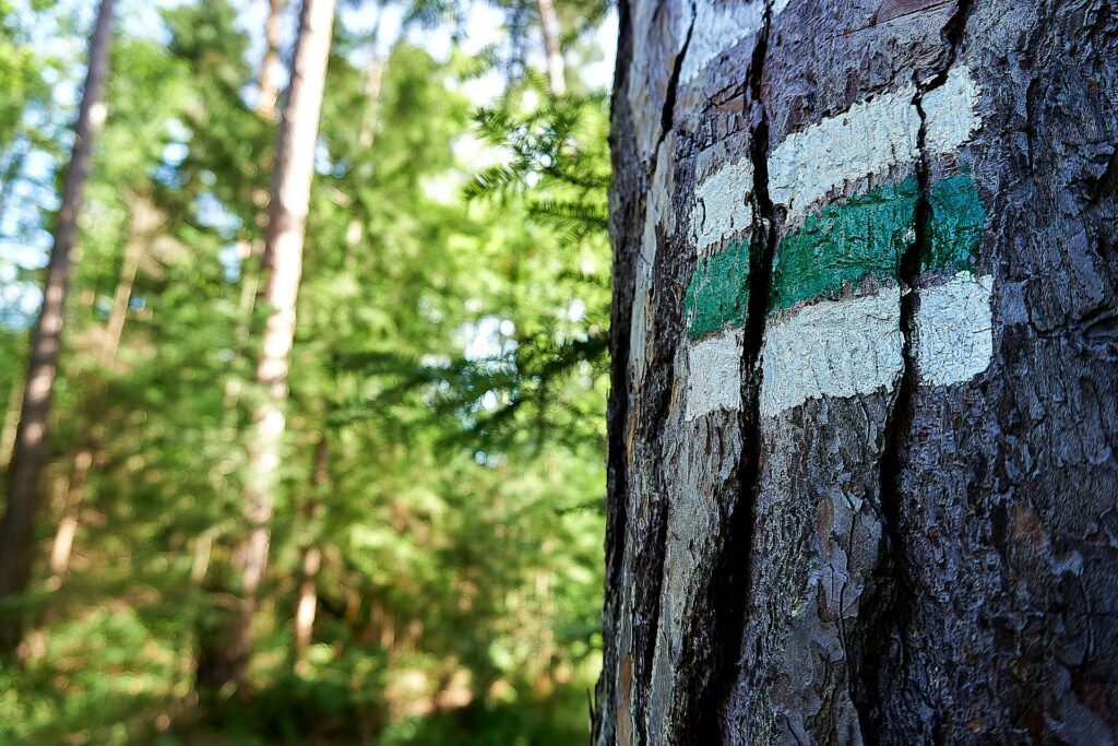 Zielone oznaczenie szlaku turystycznego