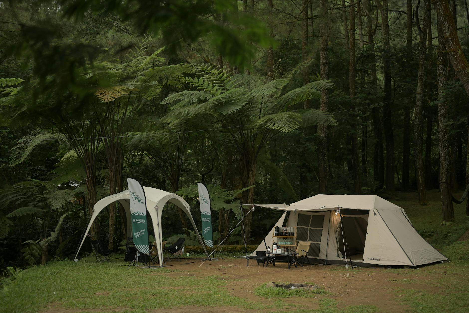 namioty w lesie na polanie