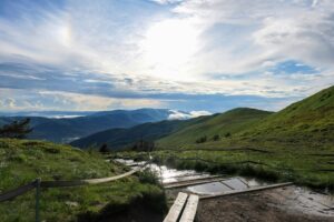Szlak na Tarnicę w Bieszczadach