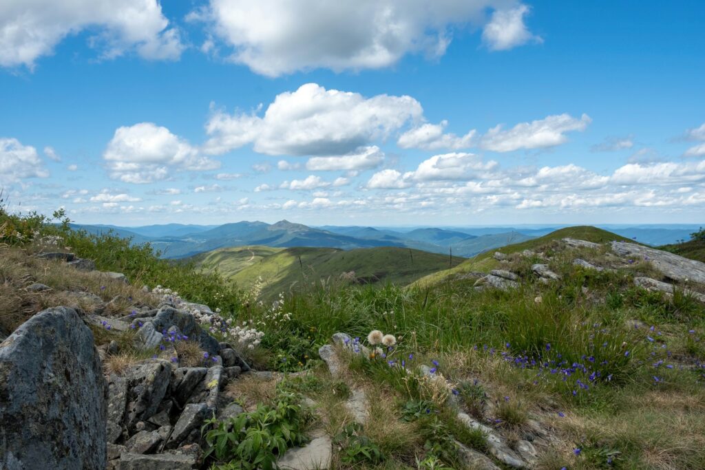 Widok z Tarnicy, Bieszczady