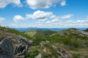 Widok z Tarnicy, Bieszczady