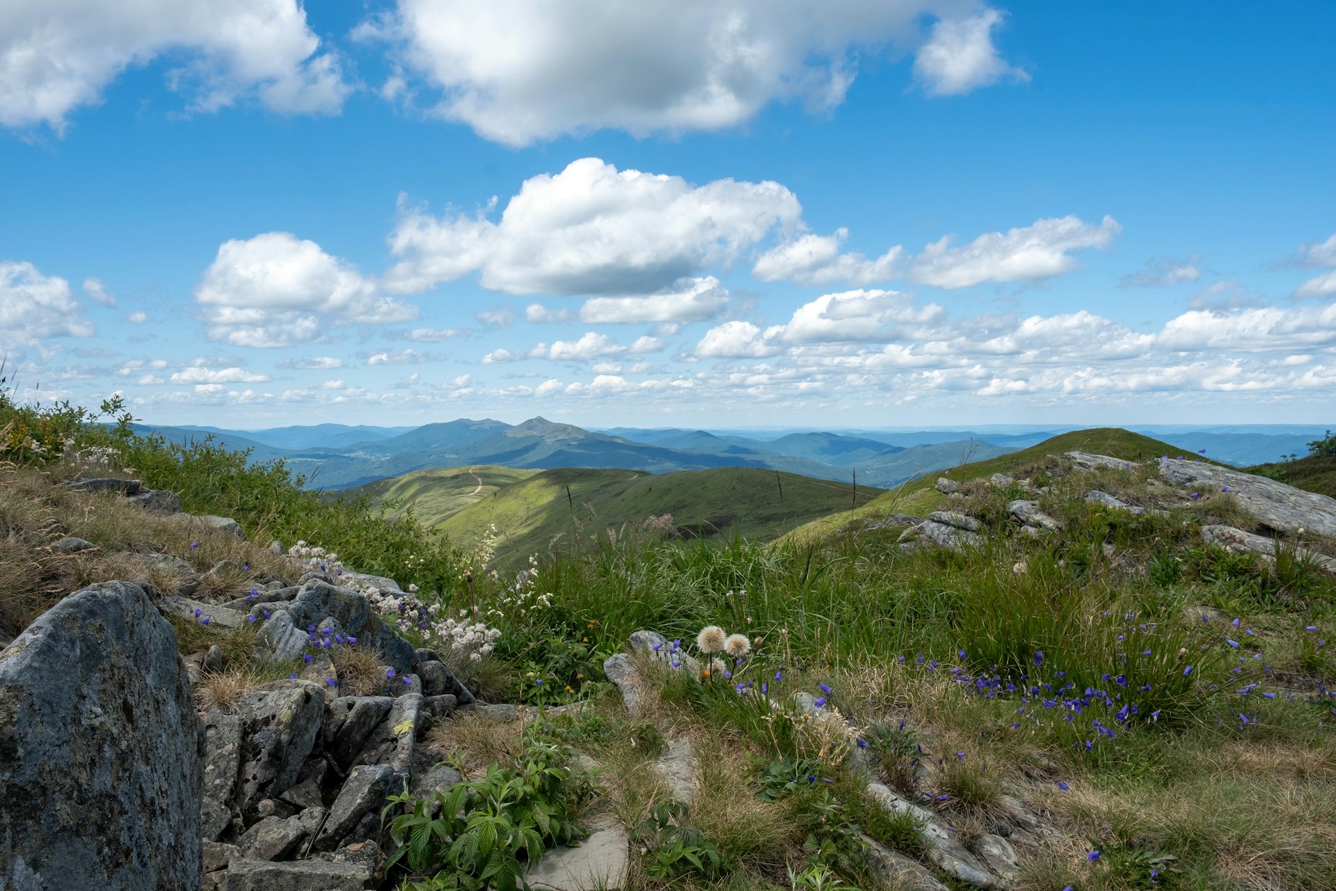 Widok z Tarnicy, Bieszczady